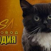 Морис Пчеловод Чмоня