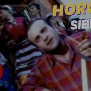 Cimilli Ibo Sibelim