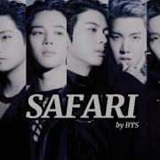Bts Safari