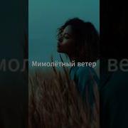 Мимолетный Ветер Вдуп