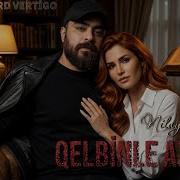 Nilay Sems Gelbinle Axtar