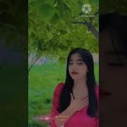 Bir Chiroyli Qizman Biram Xushroy Qizman