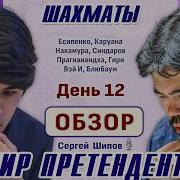 Шахматы