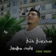 Sahrouni