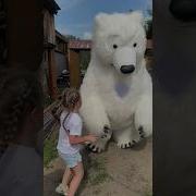 Белый Медведь С Днем Рождения