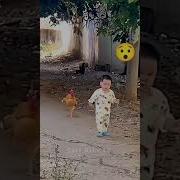 Bolajon Kulgusi Mp3
