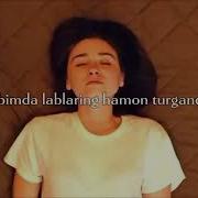 Labimda Lablaring Хамон Тургандай