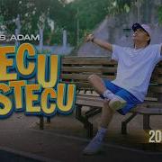 Stecu Stecu Faris Adam