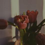 Spring Aesthetic Sounds