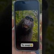 Сурудхои Хандаовар