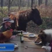 Ты И Я Веселая Кампания