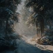 Карпук Снежинки