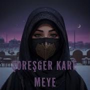 Şoreşger Karê Meye