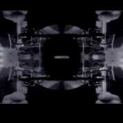 Two By Two Animal Kingdom