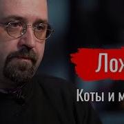 Вася Ложкин