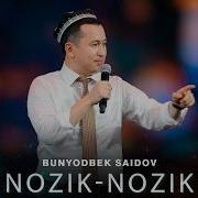 Nozik Nozik