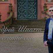 Шпехт Весенний Сон