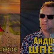 Андрей Шпехт Перекресток
