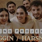 Beggin Harsner Menq Project