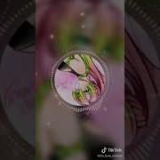 Голос Мицури Канроджи