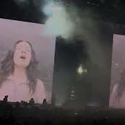 David Live