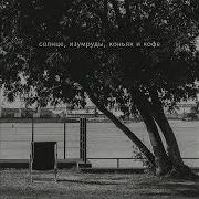 Альтависта Солнце Восходит