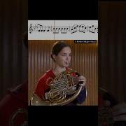 Horn