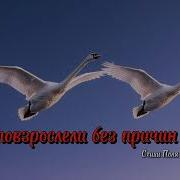 Мы Повзрослели Без Причин