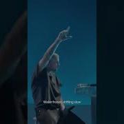 Бибер Веночек