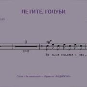 Летите Голуби Минус