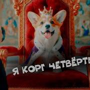 Треки Корги Коржика