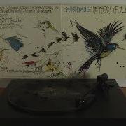 Camouflage Full Album