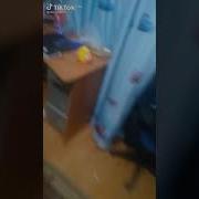 Стоны Соседи
