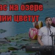 Группа Курнуц Лилия