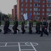 Цветет Сирень Вишневая