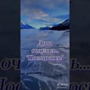 Душа Сказала