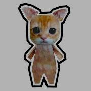 Эль Гато Кот