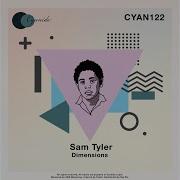 Dimensions Sam Tyler