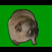 Собака Мем Танцует