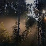 Радио Звезда Книга На Ночь