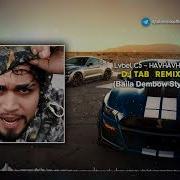 Onlar Arkada Hav Hav Hav