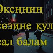 Каракалпак Ша Косык