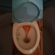 На Толчке Шум И Гам