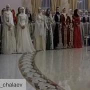 Замид Чалаев Четкая Лезгинка