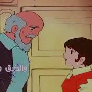 زهرة البرية مقدمة