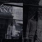 Коаы Тарас
