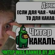 Дачники
