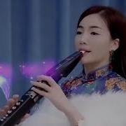 纯电就是这么美 Dj版