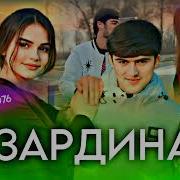 Хайриддин Зардина