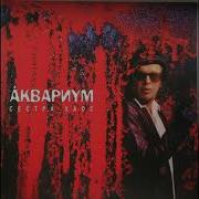 Сестра Хаос
